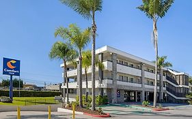 Comfort Inn Sea World Area